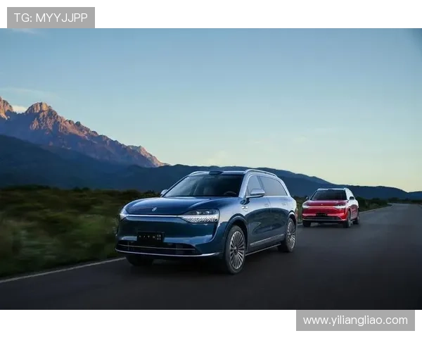 乐动胜体育公司实现数字化转型带来的业务模式创新及行业影响力提升