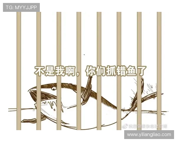 博鱼官方官网最新客户端下载与手机版操作指南方便快捷体验